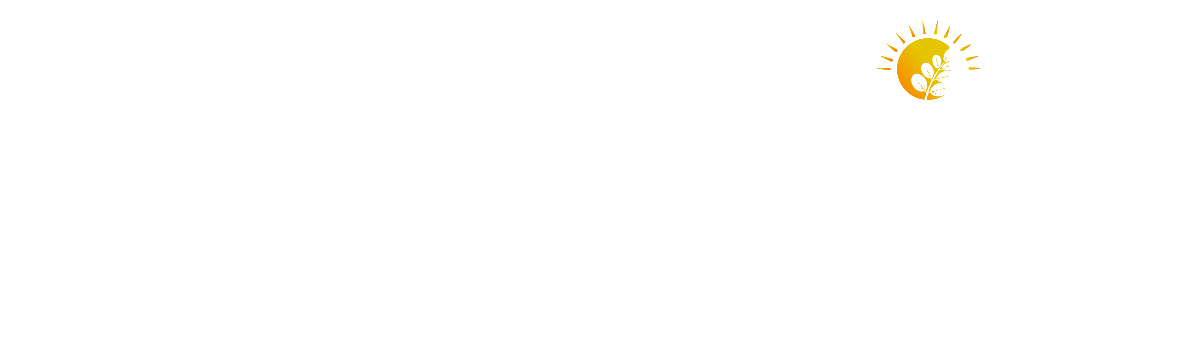 Moringa Wellness Logo